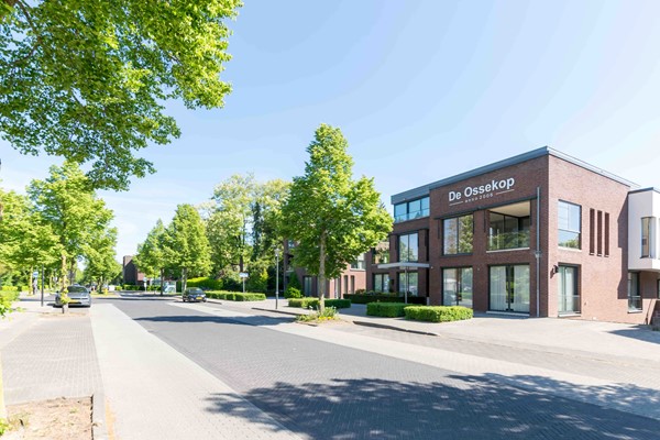 Medium property photo - Hendrik Veenemanstraat 24, 5691 BD Son en Breugel
